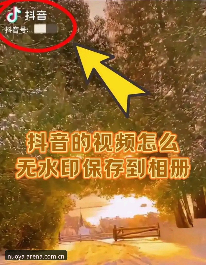 诺亚体育网址安装教程 诺亚体育平台新版本安装实用指南:从下载到登录的全流程解析